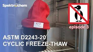 E-SPERSE® FT 600 -- PASSING the FREEZE-THAW TEST [part 3]