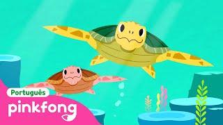 Tartaruga-Marinha | Animais do Mar | Pinkfong, Bebê Tubarão! Canções para Crianças