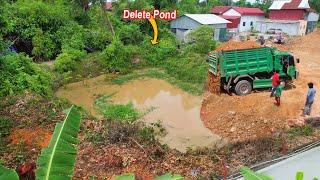 Start a new project!! Truck 5Ton Transporting Stone To Delete Deep Pond by Dozer KOMAT'SU D21P