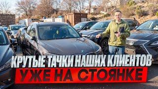 ОБЗОР СТОЯНКИ. НОЯБРЬ 2024 - ЦЕНЫ! Volvo, Toyota, BMW, KIA, Porcshe и другие