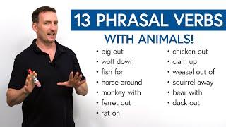 13 Phrasal Verbs with Animals: fish for, clam up, wolf down...