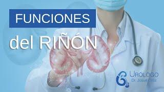 FUNCIONES del RIÑÓN - URÓLOGO JOSUÉ ORTIZ