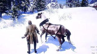 ARTHUR FOUND A NEW BEST HORSE - Red Dead Redemption 2 Gameplay