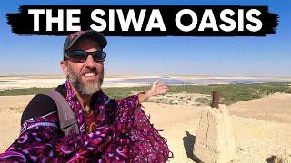 The Incredible Siwa Oasis | Best Place to Visit in Egypt?