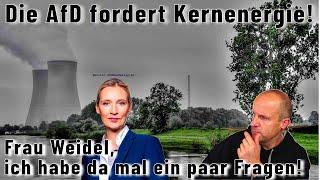 Die AfD fordert Atomkraft: Frau Weidel, ich habe da mal ein paar Fragen!