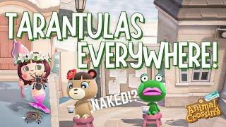 Tarantulas EVERYWHERE!? | 13 of the CRAZIEST ITEMS! | ACNH  Animal Crossing New Horizons