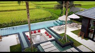 *NEW* 5BR Serene Villa with WONDERFUL Ricefield View in UBUD
