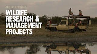 Wildlife Research And Management Experiences In Africa