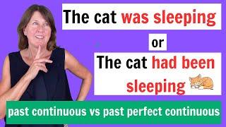 What is the difference between the PAST CONTINUOUS and the PAST PERFECT CONTINUOUS?