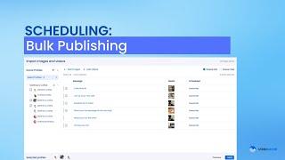 Schedule A Lot Of Content Quickly With Bulk Publishing