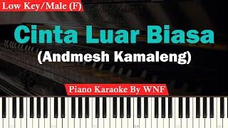 Andmesh Kamaleng - Cinta Luar Biasa Karaoke Lower Key