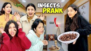 Dangerous Insects Prank With My Family| Sistrology