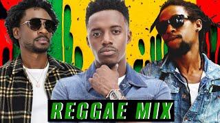 Reggae Dancehall Riddims Mix 2024: Jah Cure, Chris Martin, Alaine, Busy Signal | Tina's Mixtape