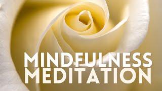 5 Senses Meditation | 10-minute Mindfulness Meditation