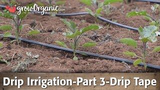 Drip Irrigation-Part 3-Using Drip Tape