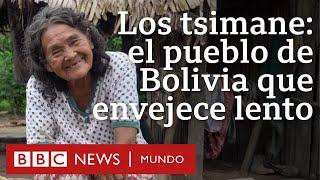 Los tsimane, la comunidad de Bolivia donde las personas envejecen más lento | BBC Mundo