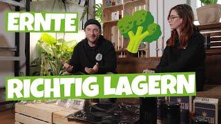 Die Grow Ernte richtig aufbewahren und lagern nach der Trocknung | Gläser und Grovebags |