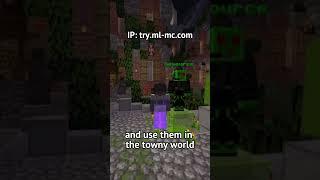 Make Sure To Do This After You Join This SMP