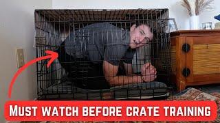 How to Introduce Crate Training: 7 Simple Steps