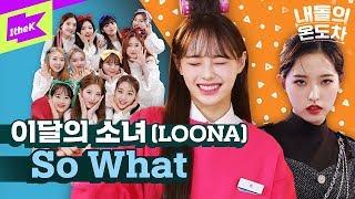 컨셉장인 이달소가 미래다 | LOONA (이달의 소녀)_So What | 내돌의 온도차 | GAP CRUSH