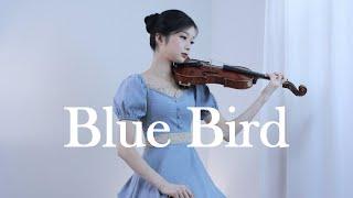 Naruto Shippuden (나루토 질풍전) - Blue Bird - Violin Cover