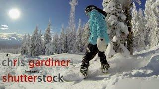 Chris Gardiner's Stock Video Footage on Shutterstock