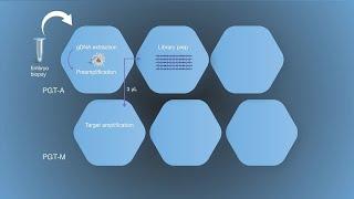 Combined Preimplantation Genetic Testing Workflow