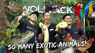 The Biggest ANIMAL & PET EXPO 2022 (FULL TOUR) at SMX, Philippines  - June 12, 2022 | Vlog #1510