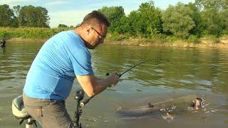 Pecanje soma na reci Savi u Hrvatskoj | Fishing catfish in river Sava FULL VIDEO