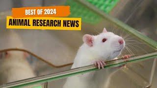 6 Medical Breakthroughs Involving Animal Research in 2024