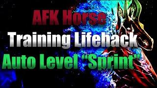 AFK Horse Training Tips | Level Up "Sprint" in Under 3 Minutes