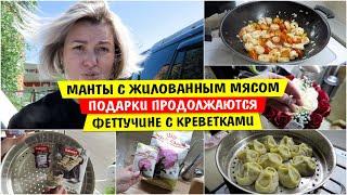 Манты с ЖИЛОВАННЫМ МЯСОМ / Чем кормим Мейн Куна / Феттучине с КРЕВЕТКАМИ / ПОДАРКИ / Еда / Siberia