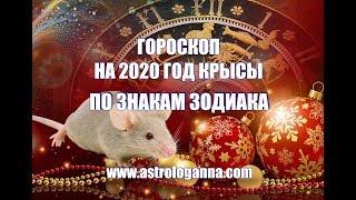 ГОРОСКОП НА 2020 ГОД КРЫСЫ ПО ЗНАКАМ ЗОДИАКА