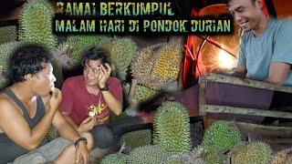 ramai berkumpul di pondok durian saat angin kencang menerjang warta petani muda hidup di hutan