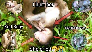 Sad Rainbow baby Monkey was brutally beaten by her mother, she cried and begged her not to beat her.