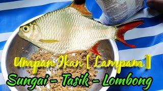 Umpan Ikan Lampam Tasik-Sungai-Lombong [ Video Official ]