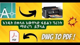How To Print AutoCAD Files , AutoCAD File To Pdf And  In Amharic
