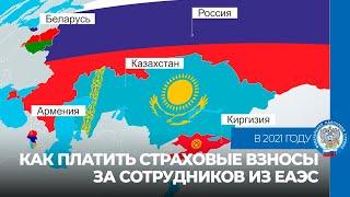 Как платить страховые взносы за сотрудников из ЕАЭС в 2021 году