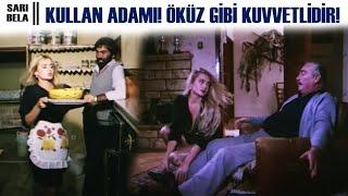Sarı Bela Türk Filmi | Kullan Adamı Öküz Gibi Kuvvetlidir!