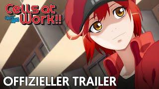 Cells at Work !! | Offizieller Trailer