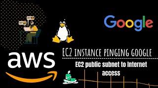 How to create Ec2 instance with public subnet to internet access ?