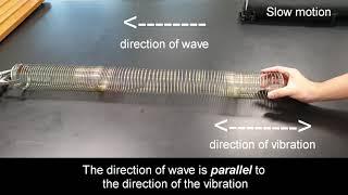 Longitudinal wave using slinky coil