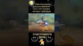 Ютуб смешные приколы / Хорошего дня