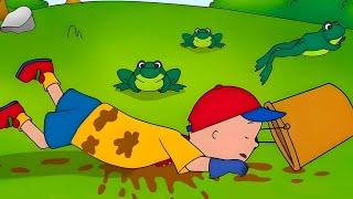 Caillou Kurbağalara Yardım Ediyor | Caillou Klasikleri