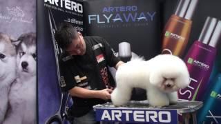 ARTERO Creative Team Singapore Mr. Park Sang Hun Bichon Full Grooming Video