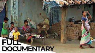 The Price of Fairness: Why Do We Accept Inequality And Social Injustice? | ENDEVR Documentary