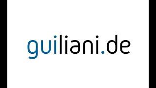 Guiliani - The C++ GUI framework for all embedded engineers