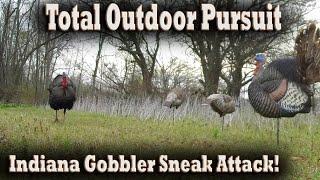 Redemption after my miss! Public Land Spring Turkey Hunt with a Sneaky Gobbler in the Decoys!