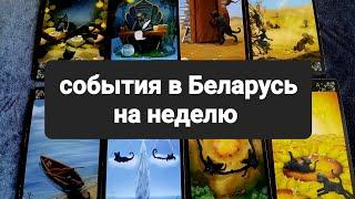 События в Беларусь на неделю  #таро #гадание