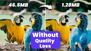 Image Compressor | Reduce Image Size WITHOUT Losing Quality (2024)